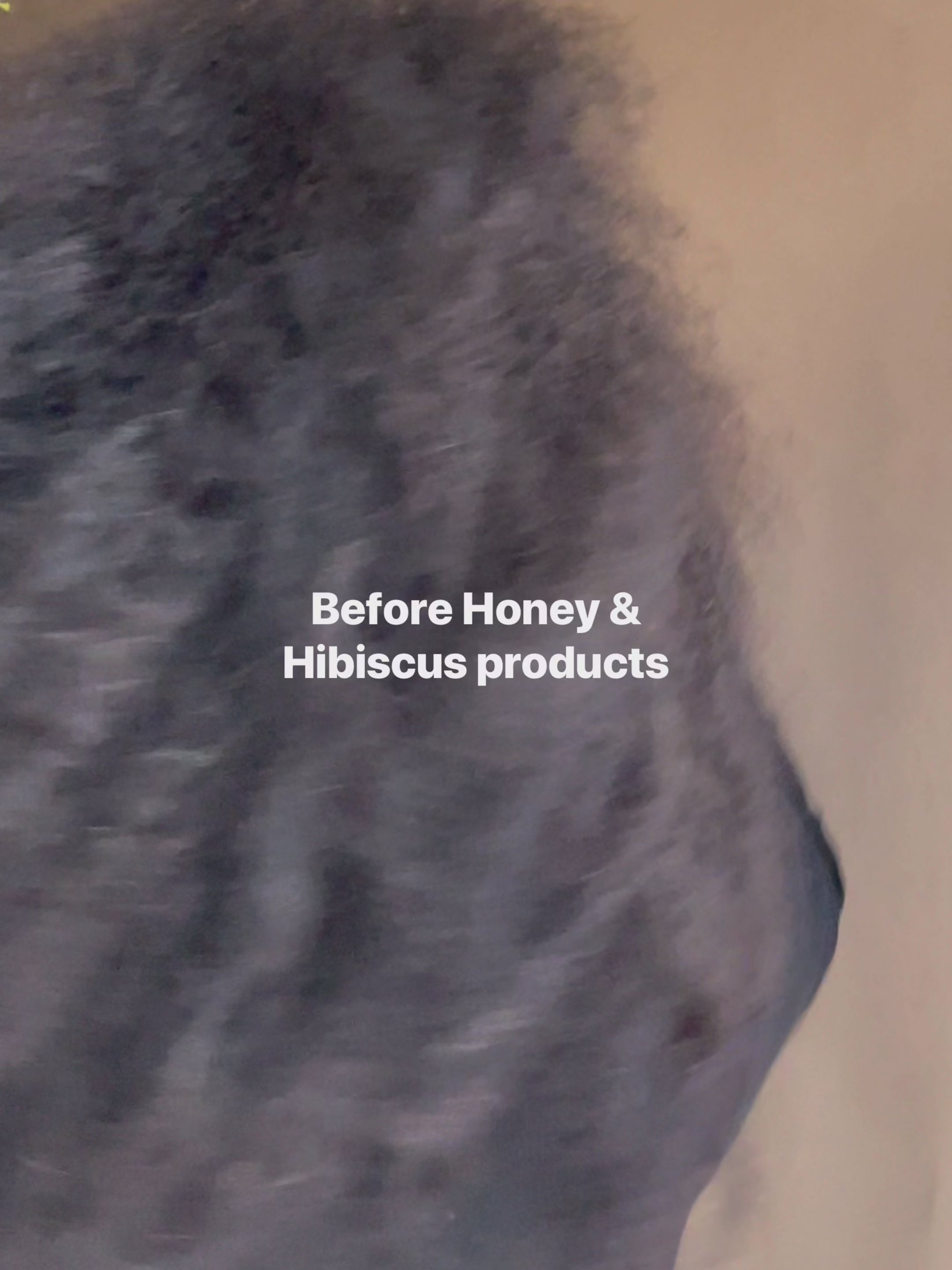 honey & hibiscus daily moisture mist